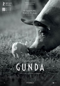 Gunda (2020) cały film online plakat